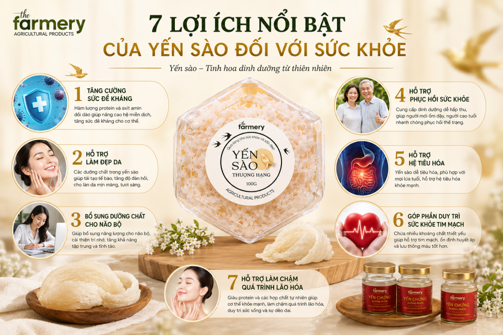 Lợi ích của yến sào Yến sào từ lâu được xem là một trong những thực phẩm giàu dinh dưỡng nhờ chứa hàm lượng protein cùng nhiều axit amin và khoáng chất thiết yếu.