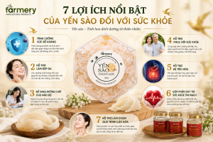 Lợi ích của yến sào Yến sào từ lâu được xem là một trong những thực phẩm giàu dinh dưỡng nhờ chứa hàm lượng protein cùng nhiều axit amin và khoáng chất thiết yếu.