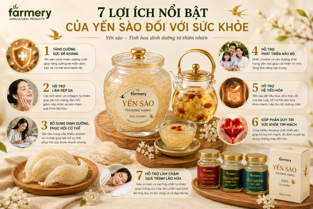 Những ai nên sử dụng yến sào