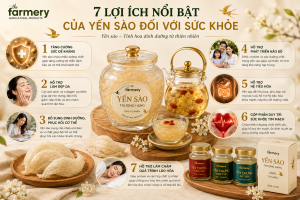 Những ai nên sử dụng yến sào